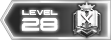 28