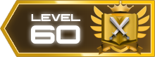 60
