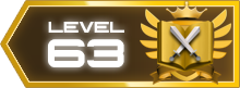 63