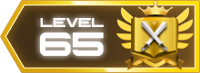 65