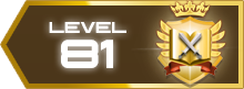 81